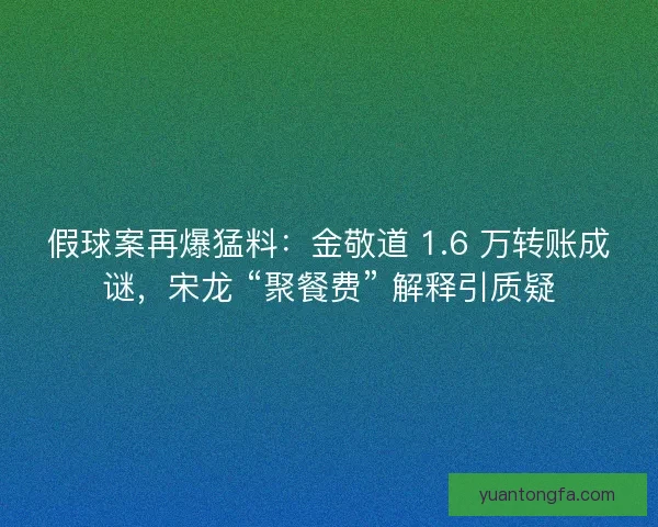 假球案再爆猛料：金敬道 1.6 万转账成谜，宋龙 “聚餐费” 解释引质疑