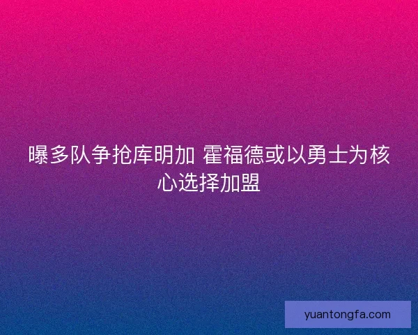 曝多队争抢库明加 霍福德或以勇士为核心选择加盟