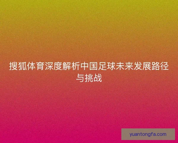 搜狐体育深度解析中国足球未来发展路径与挑战 搜狐体育深度解析中国足球未来发展路径与挑战