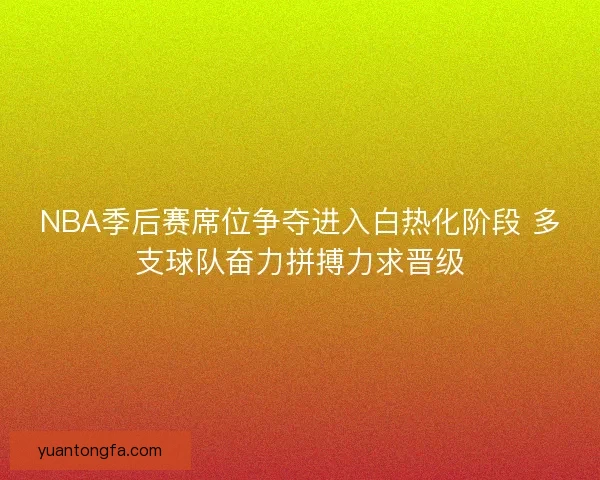 NBA季后赛席位争夺进入白热化阶段 多支球队奋力拼搏力求晋级