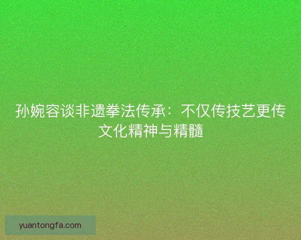 孙婉容谈非遗拳法传承:不仅传技艺更传文化精神与精髓 孙婉容谈非遗拳法传承:不仅传技艺更传文化精神与精髓