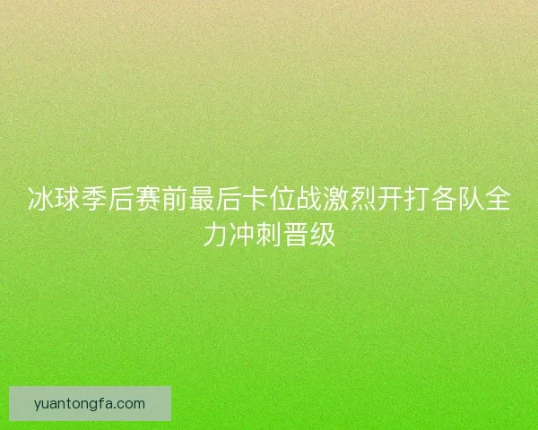 冰球季后赛前最后卡位战激烈开打各队全力冲刺晋级 冰球季后赛前最后卡位战激烈开打各队全力冲刺晋级